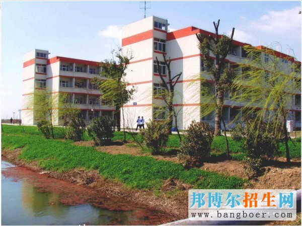 蘇州托普信息職業(yè)技術學院校園一角2977