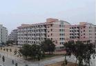 煙臺大學(xué)校園一角6845
