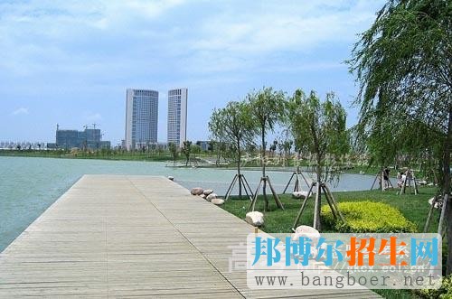 安徽廣播影視職業(yè)技術學院校園一角5188