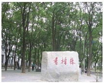 江西師范大學科學技術(shù)學院校園一角6270