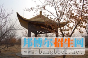 白城醫(yī)學(xué)高等?？茖W(xué)校校園一角5121