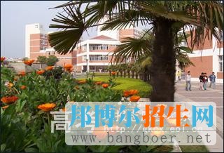 安徽三聯(lián)學院校園一角4779