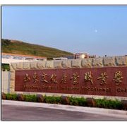 山東文化產(chǎn)業(yè)職業(yè)學院