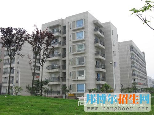四川華新現(xiàn)代職業(yè)學院校園一角2646