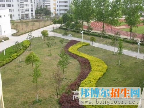 民辦萬博科技職業(yè)學院校園一角4868