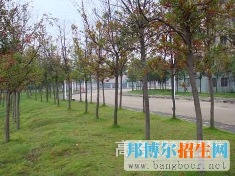 武漢工程科技學(xué)院校園一角10895
