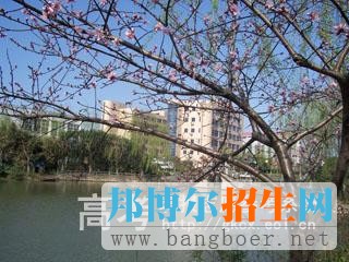 上海民遠(yuǎn)職業(yè)技術(shù)學(xué)院校園一角1163