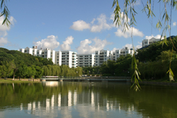深圳職業(yè)技術(shù)學(xué)院校園一角12929