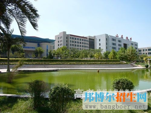 山東醫(yī)學(xué)高等專(zhuān)科學(xué)校校園一角7595