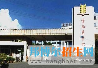 云南農(nóng)業(yè)大學4