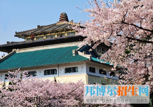 武漢大學