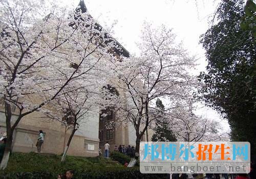武漢大學