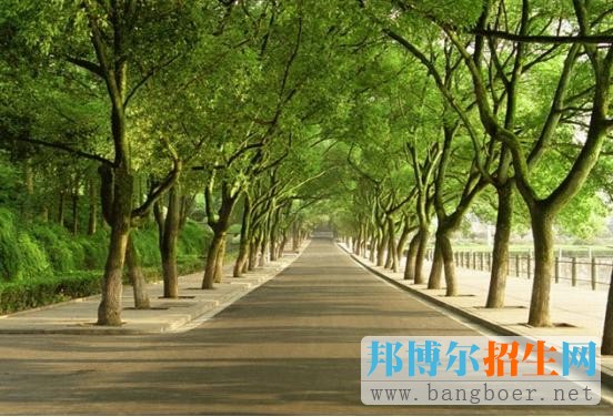 中南大學