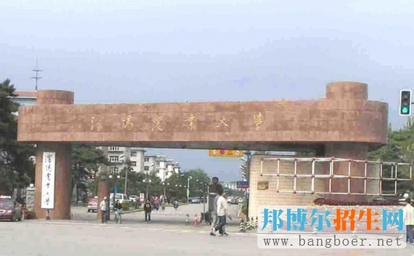 沈陽(yáng)1