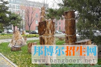 北京林業(yè)大學18