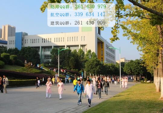 重慶三峽醫(yī)藥高等?？茖W(xué)校