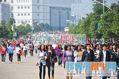 2015年隨州職業(yè)技術(shù)學(xué)院單獨(dú)招生計(jì)劃