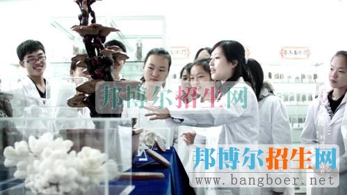 中藥專業(yè)學(xué)生中藥標(biāo)本實(shí)訓(xùn)