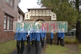 以旅游管理為王牌的大專學校有哪些