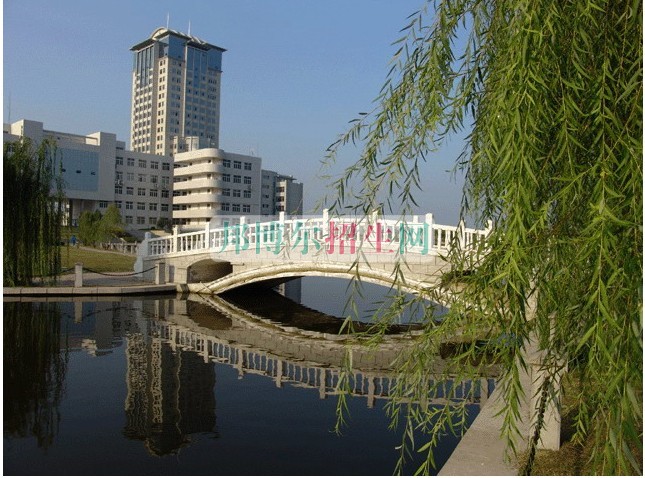 高中畢業(yè)學民航商務(wù)