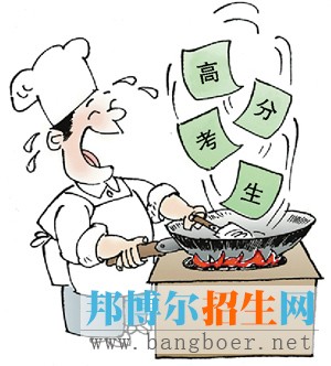 各層次考生填報策略
