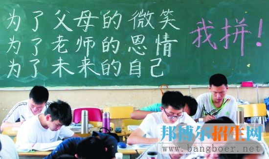 本科填報(bào)志愿