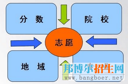 高考志愿怎么填報
