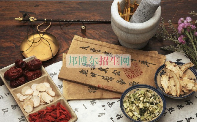 成都哪些學校有中醫(yī)學