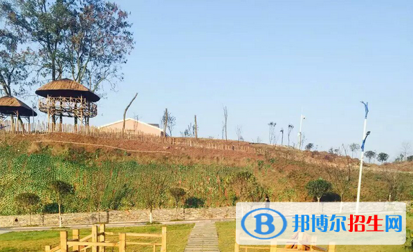 重慶藝術(shù)學(xué)校2018年報名條件、招生對象