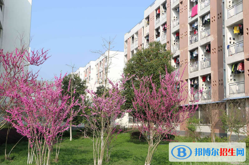 六安衛(wèi)生學(xué)校2018年報名條件、招生要求
