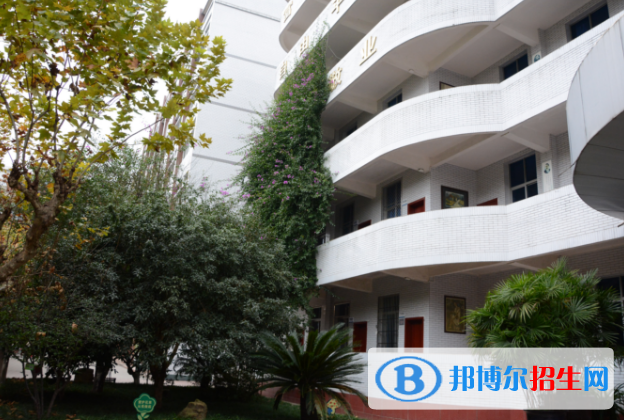 蒼溪實(shí)驗(yàn)中學(xué)職高部2018年報(bào)名條件、招生對(duì)象