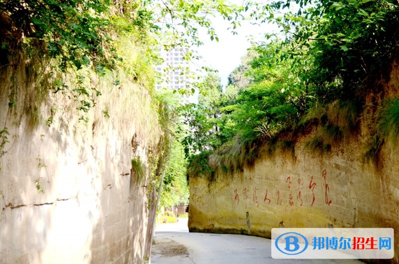鹽亭縣職業(yè)技術(shù)學(xué)校2018年報(bào)名條件、招生對(duì)象