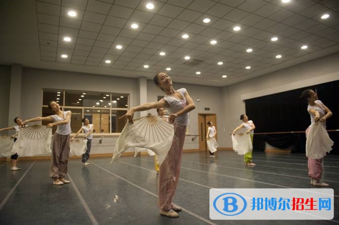 德陽(yáng)舞蹈學(xué)校網(wǎng)站網(wǎng)址