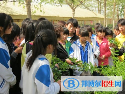 欒城職業(yè)技術(shù)教育中心2018年報(bào)名條件、招生對象