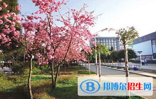 北京外事服務(wù)職業(yè)高級中學(xué)報名條件、招生對象