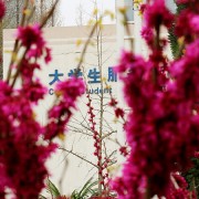 徐州生物工程職業(yè)技術學院中專部