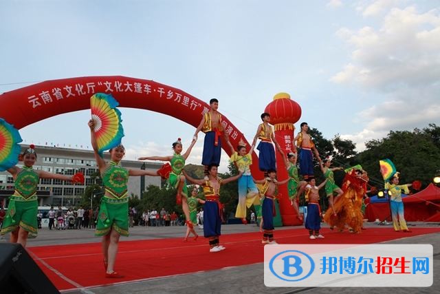 云南文化藝術職業(yè)學院單招簡章