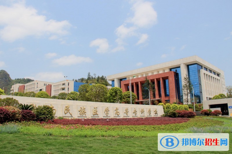 黔南民族醫(yī)學(xué)高等?？茖W(xué)校2019年單招錄取分?jǐn)?shù)線