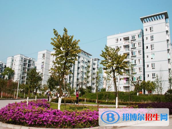 重慶師范大學涉外商貿學院單招報名條件