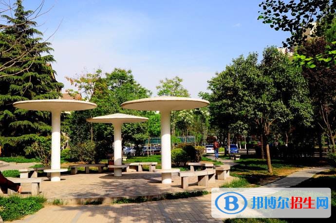 西北大學(xué)軟件職業(yè)技術(shù)學(xué)院單招報名條件