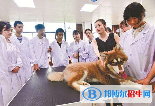 甘肅畜牧工程職業(yè)技術學院單招報名條件