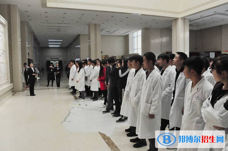 臨夏現(xiàn)代職業(yè)學(xué)院2019年單招錄取分?jǐn)?shù)線