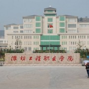 濰坊工程職業(yè)學(xué)院?jiǎn)握? onerror=