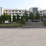 安岳李家中學
