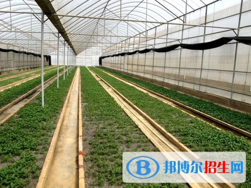 昆明中專學校和高中的區(qū)別