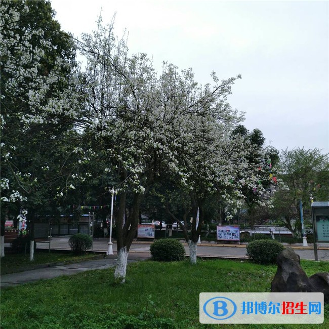 綿陽讀中專學(xué)校有沒有用
