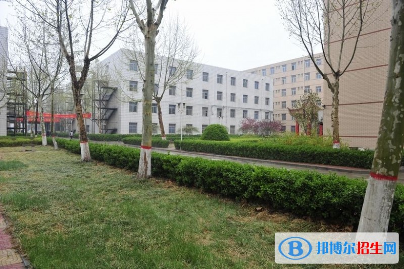 石家莊財經(jīng)職業(yè)學(xué)院2019年單招錄取分?jǐn)?shù)線