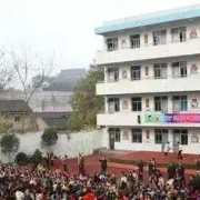 綿竹觀魚(yú)學(xué)校