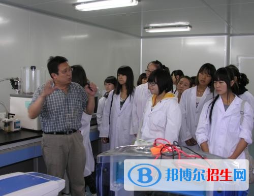 大理中專學(xué)校和職高哪個好