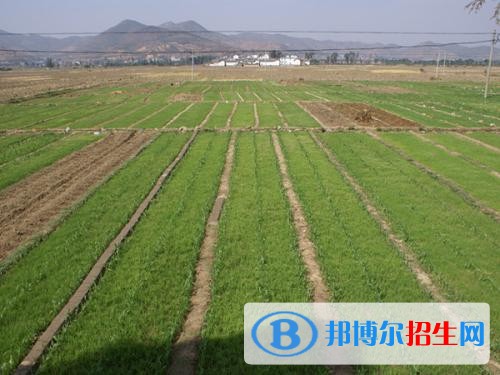 大理讀中專學校多少錢